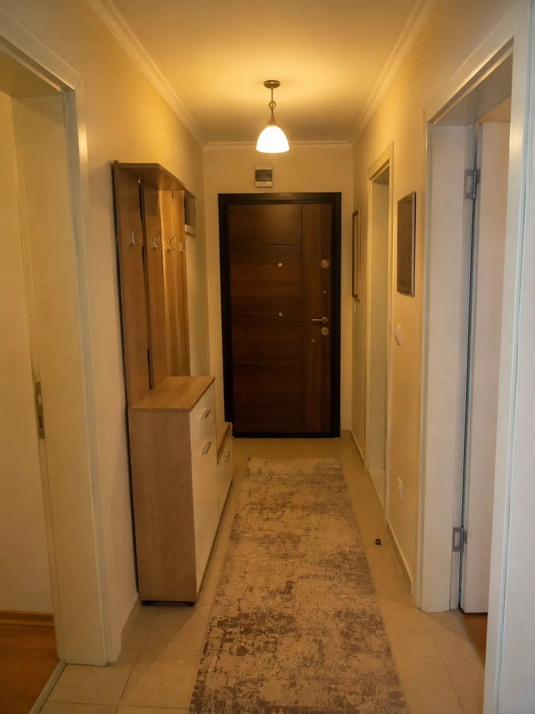 Giriş — ham çekim